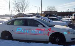 Man Charged for Ammunition Possesion without FOID Card: Police